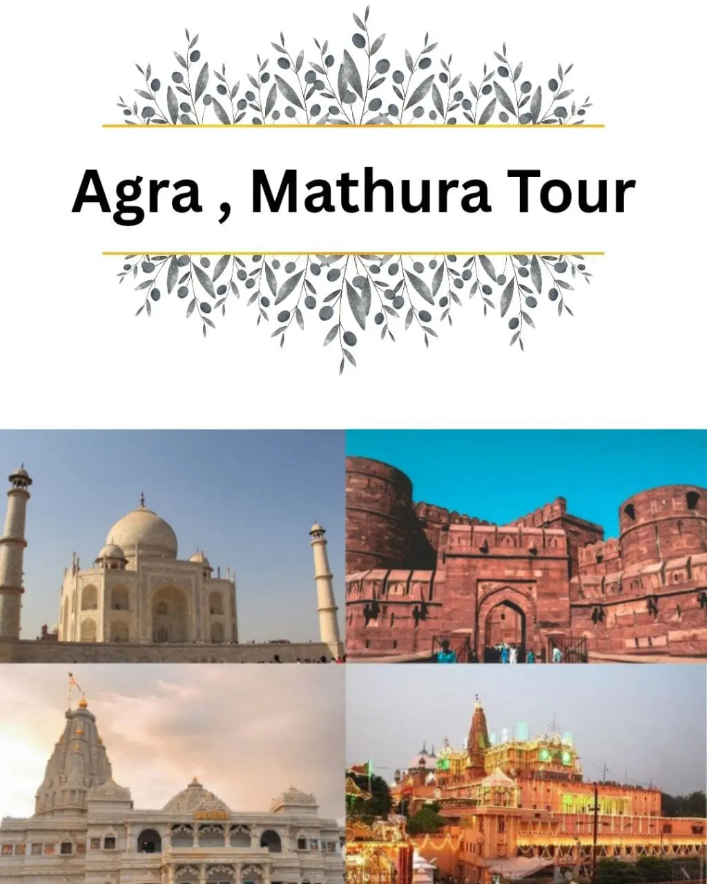 Tour Packages 2